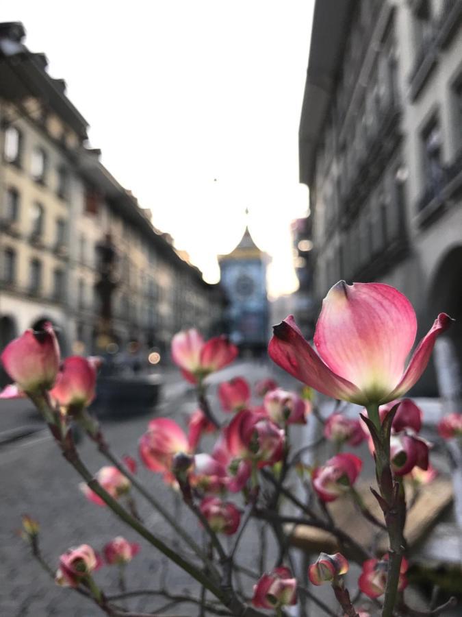 Historical, Bright & Beautiful In Old City - 3Rd Floor Bern Exteriér fotografie